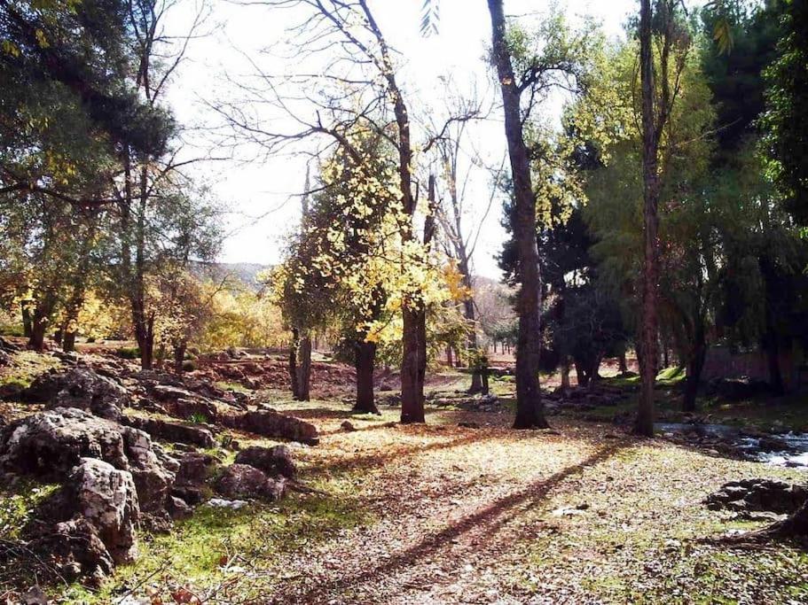 Chalet Asmoun 2 Imouzzer du Kandar エクステリア 写真